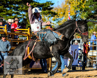 BraidwoodRodeo2015_4661