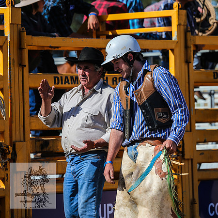 BraidwoodRodeo2015_3113