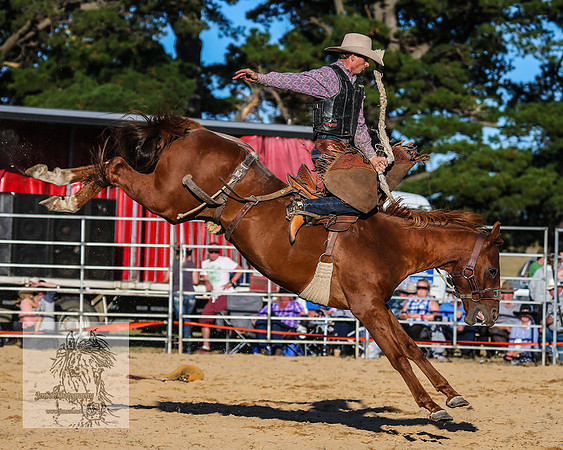 BraidwoodRodeo2015_4735