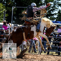BraidwoodRodeo2019_1892