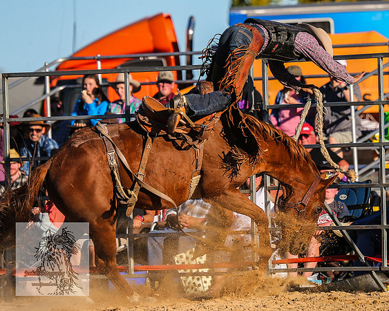 BraidwoodRodeo2015_4741
