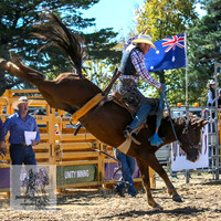 BraidwoodRodeo2015_0580