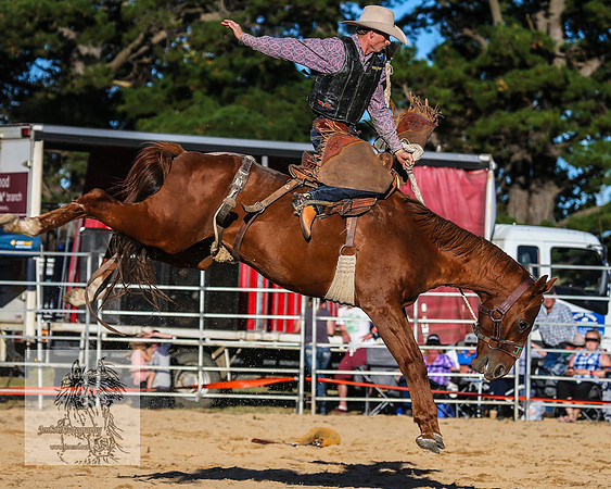 BraidwoodRodeo2015_4715