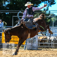 BraidwoodRodeo2015_0635
