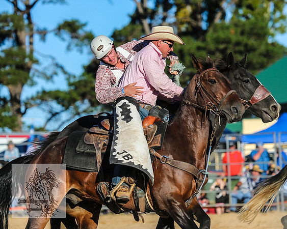 BraidwoodRodeo2015_4690