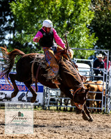 BraidwoodRodeo2019_1803