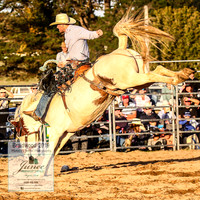BraidwoodRodeo2019_2863
