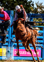 BraidwoodRodeo2019_1998