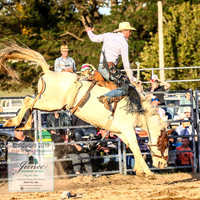 BraidwoodRodeo2019_2881