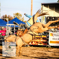 BraidwoodRodeo2019_2792