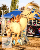 BraidwoodRodeo2019_2802