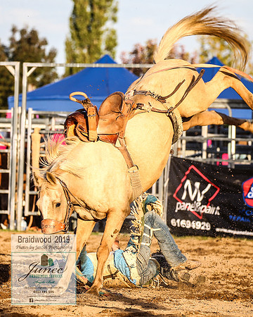 BraidwoodRodeo2019_2802