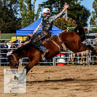 BraidwoodRodeo2019_2139