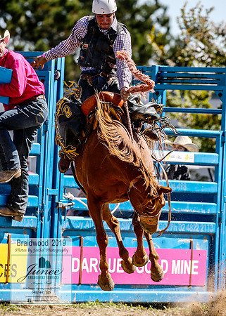 BraidwoodRodeo2019_1996