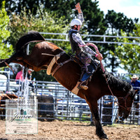 BraidwoodRodeo2019_1924