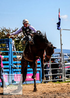BraidwoodRodeo2019_1876