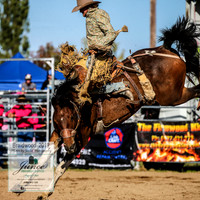BraidwoodRodeo2019_2169