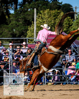 BraidwoodRodeo2019_2210