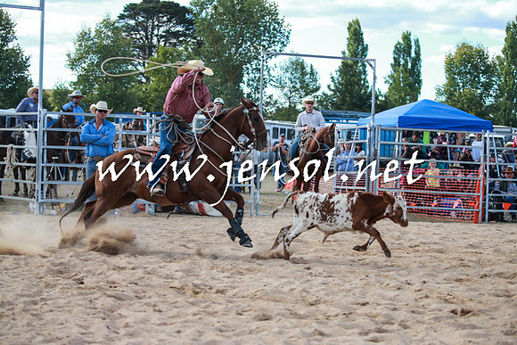BraidwoodRodeo2016_4243
