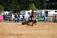 BraidwoodRodeo2016_1441