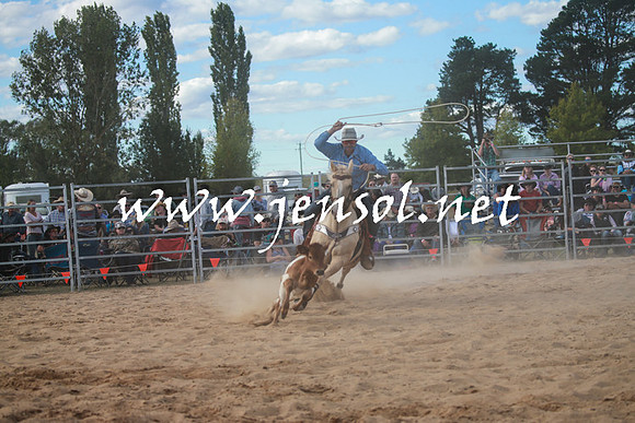 BraidwoodRodeo2016_4290
