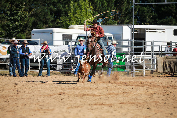 BraidwoodRodeo2016_1432