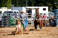 BraidwoodRodeo2016_1453