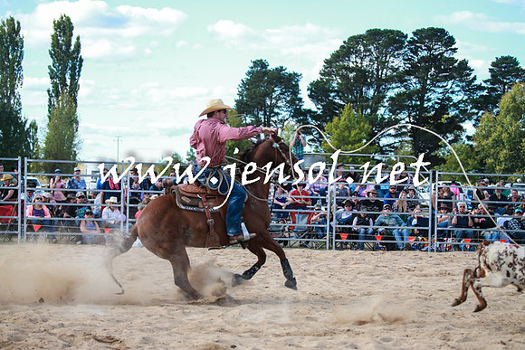 BraidwoodRodeo2016_4249