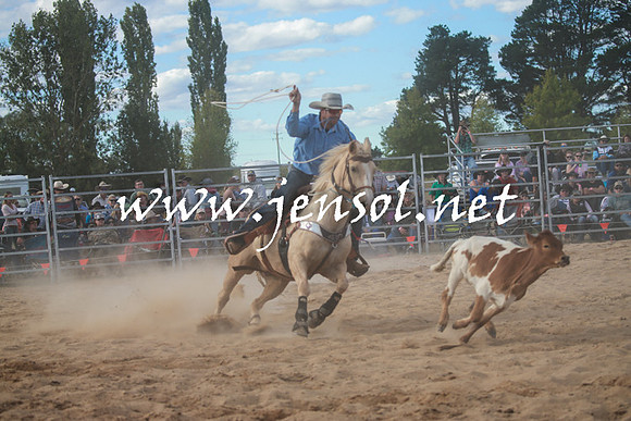 BraidwoodRodeo2016_4282