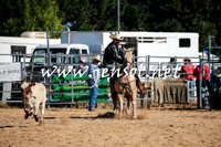 BraidwoodRodeo2016_1400