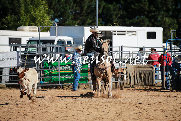 BraidwoodRodeo2016_1400