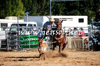 BraidwoodRodeo2016_1452