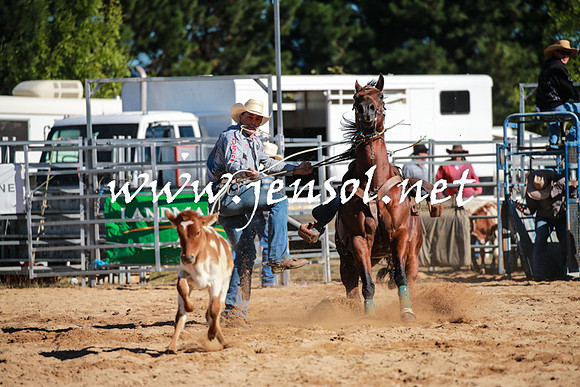 BraidwoodRodeo2016_1454