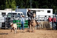 BraidwoodRodeo2016_1409