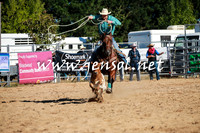 BraidwoodRodeo2016_1371