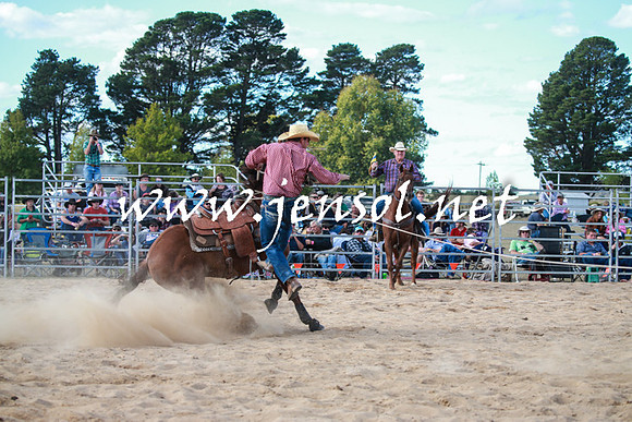 BraidwoodRodeo2016_4263