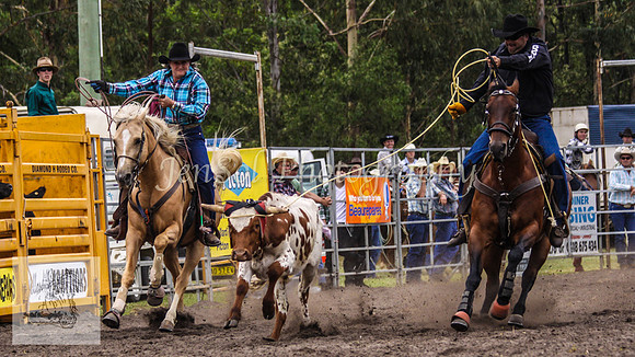 Picton_Rodeo_2009 161