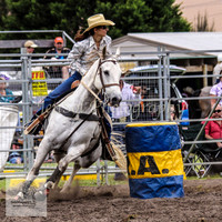 Picton_Rodeo_2009 058