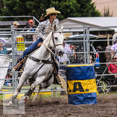 Picton_Rodeo_2009 058