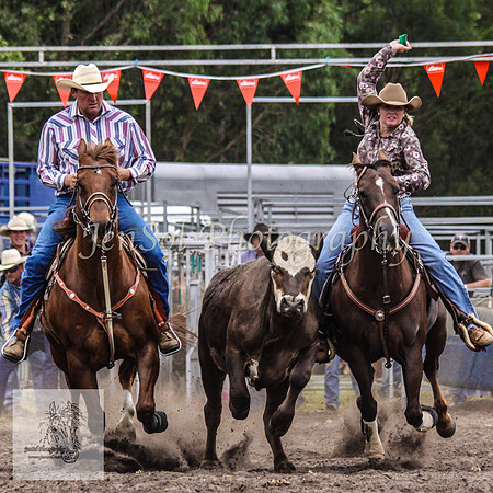 Picton_Rodeo_2009 203
