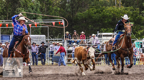 Picton_Rodeo_2009 171