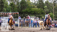 Picton_Rodeo_2009 067