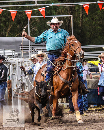 Picton_Rodeo_2009 494