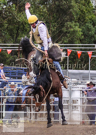 Picton_Rodeo_2009 395