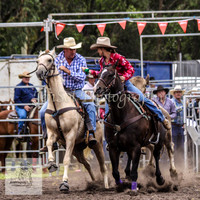 Picton_Rodeo_2009 065