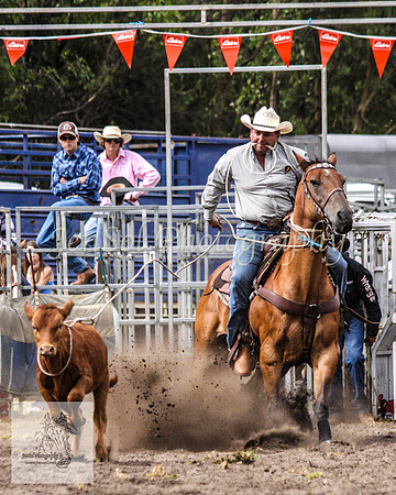Picton_Rodeo_2009 491