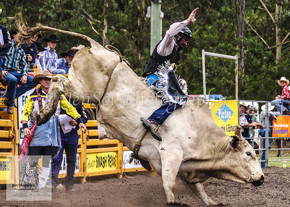 Picton_Rodeo_2009 215