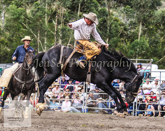 Picton_Rodeo_2009 484