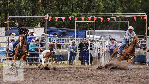 Picton_Rodeo_2009 155