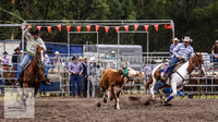 Picton_Rodeo_2009 066
